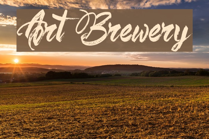 Art Brewery Example 2