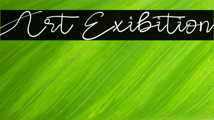 Art Exibition Example 3