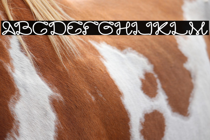 Art HEART Bold Example 2