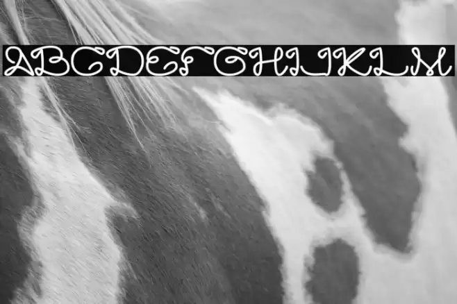 Art HEART Bold Font examples