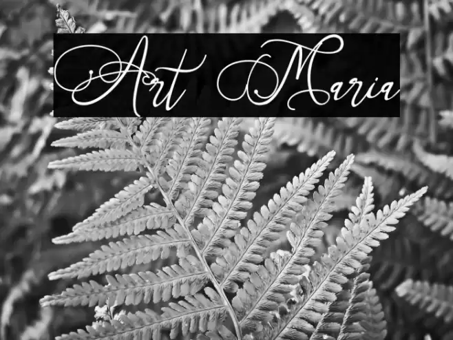 Art Maria Font examples