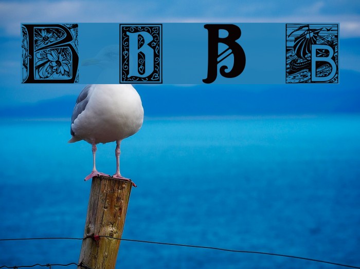 Art Nouveau Initials B Font examples