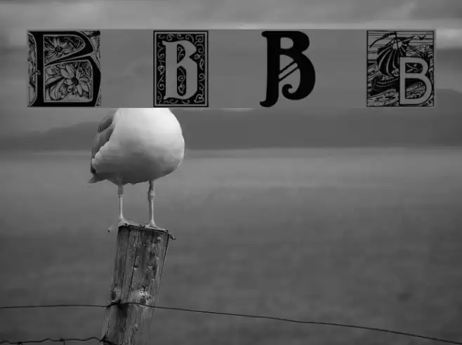 Art Nouveau Initials B Example 2