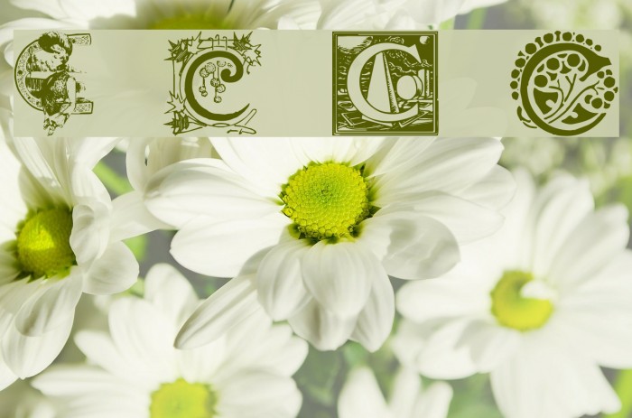 Art Nouveau Initials C Font examples