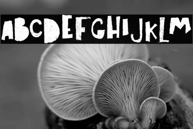 Art Post black Font examples