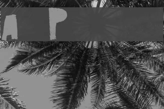 Art Post black Font examples