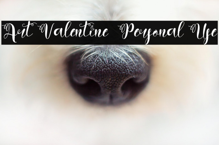 Art Valentine - Personal Use Example 1