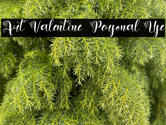 Art Valentine - Personal Use Example 3