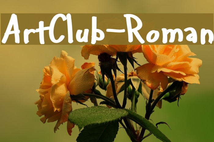 ArtClub-Roman Font examples