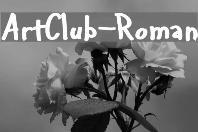 ArtClub-Roman Example 1