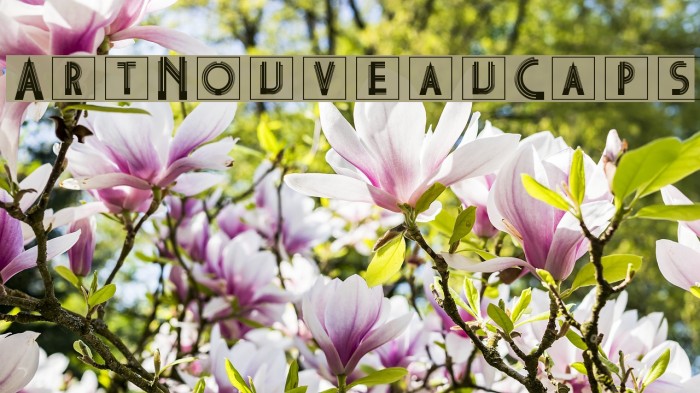 ArtNouveauCaps Font examples
