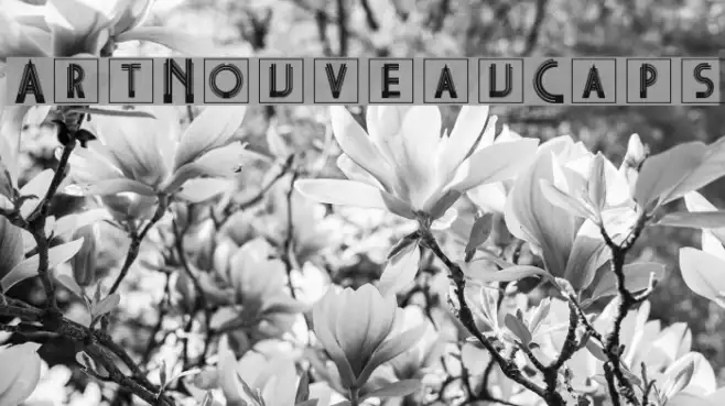 ArtNouveauCaps Example 2