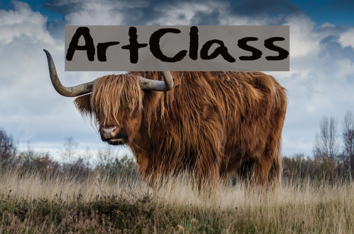 Art_Class Font examples