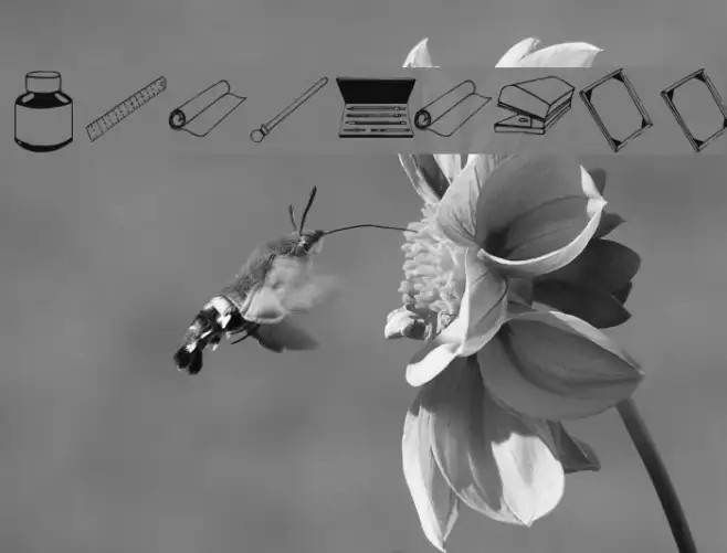 ArteStuff Example 2