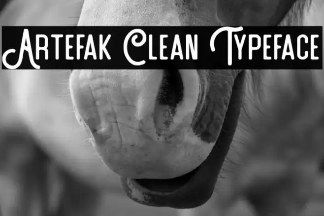 Artefak Clean Typeface Шрифта examples