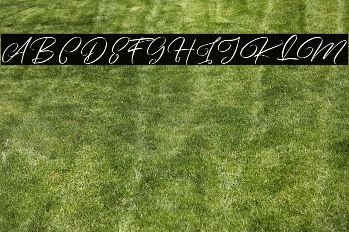 ArtefelliaFreePersonalUse Example 1