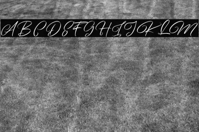 ArtefelliaFreePersonalUse Example 1