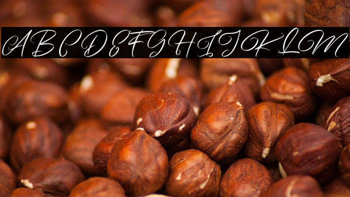 ArtefelliaFreePersonalUse Example 1