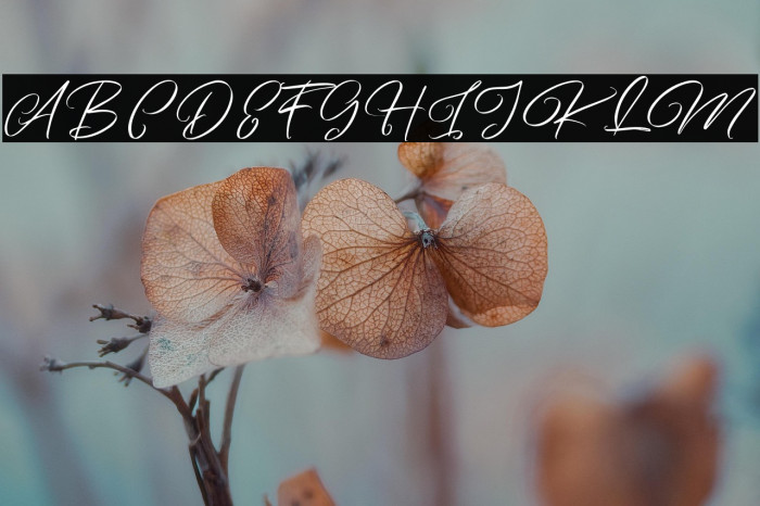 ArtefelliaFreePersonalUse Example 2