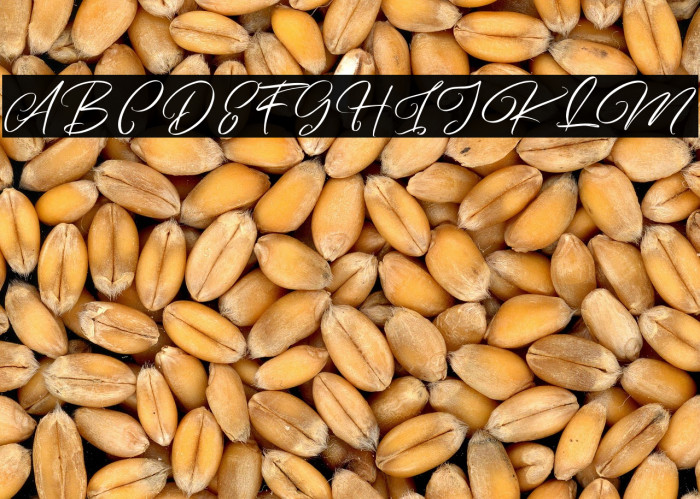 ArtefelliaFreePersonalUse Example 3