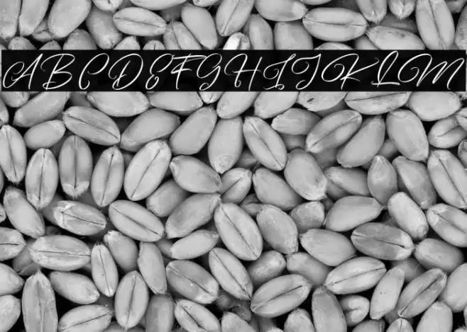 ArtefelliaFreePersonalUse Font examples