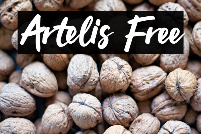 Artelis Free Example 1