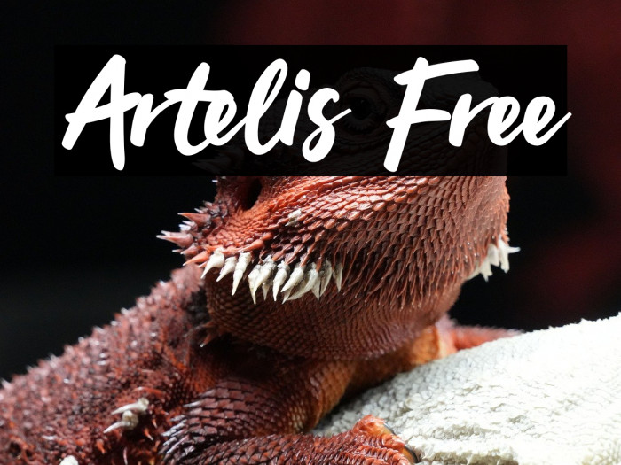 Artelis Free Example 2