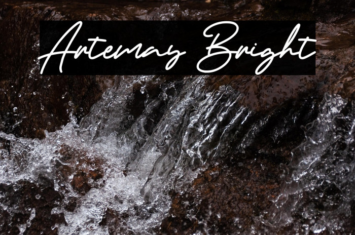 Artemay Bright Example 3