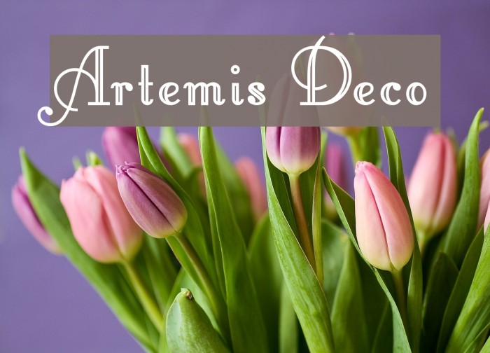 Artemis Deco Fonte examples