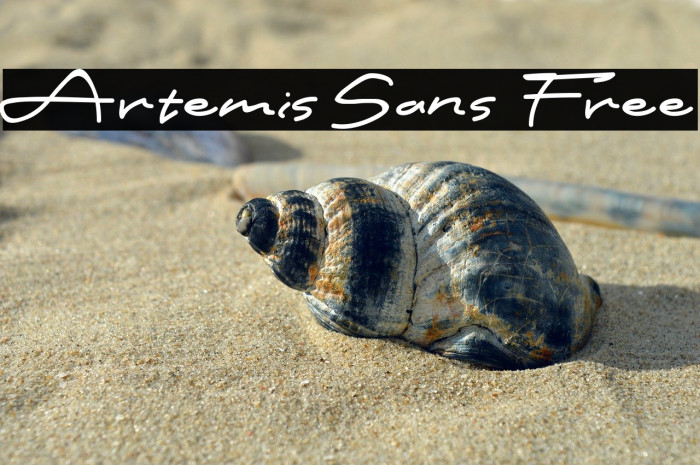Artemis Sans Free Example 1