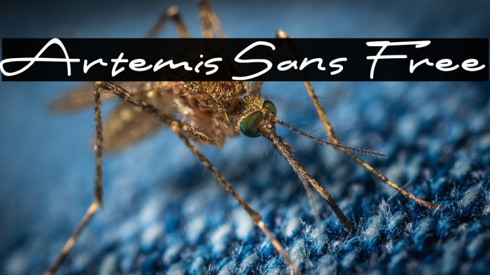 Artemis Sans Free Example 2