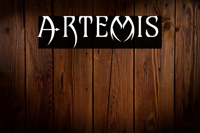 Artemis Example 2