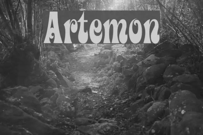 Artemon Example 1