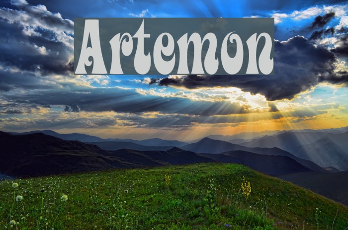 Artemon Font examples
