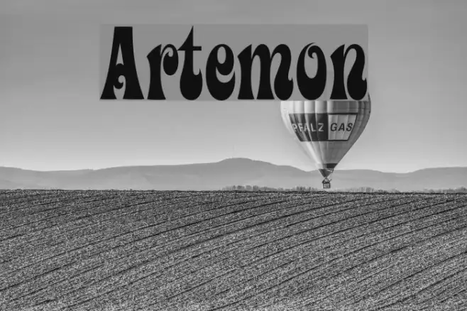 Artemon Example 3