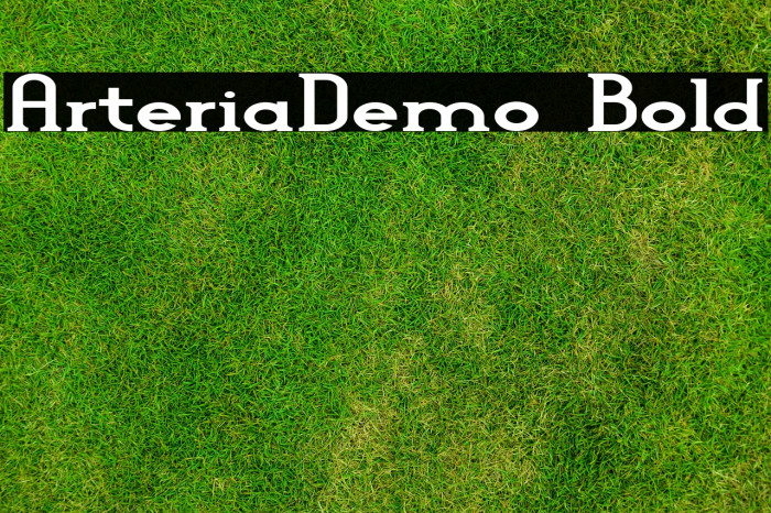 Arteria-Demo Bold Font examples