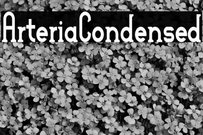 ArteriaCondensed Font examples