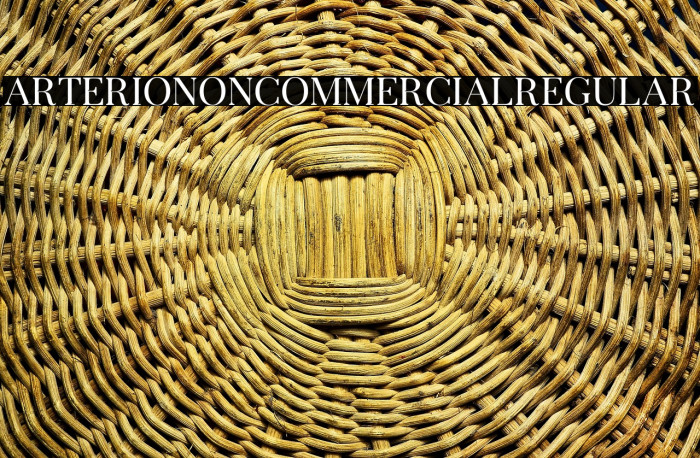 ArterioNonCommercialRegular Example 1