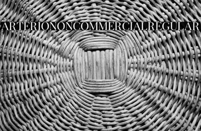 ArterioNonCommercialRegular Example 1