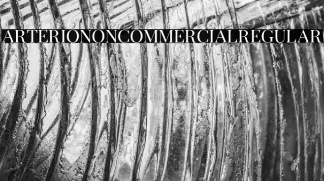 ArterioNonCommercialRegular Example 2