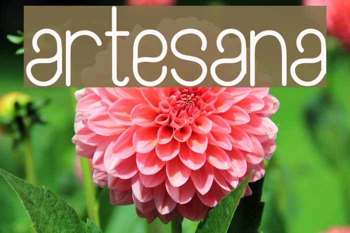 Artesana Font examples