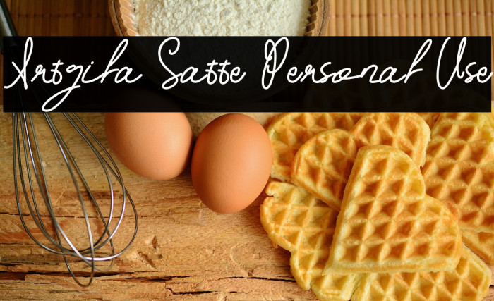 Artgila Satte Personal Use Example 3