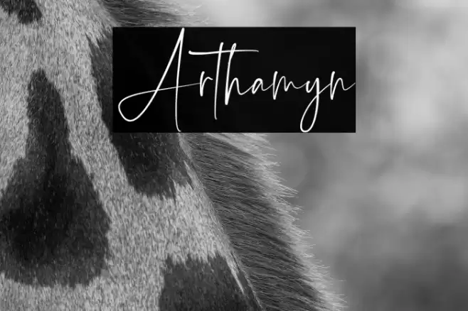 Arthamyn Caratteri examples