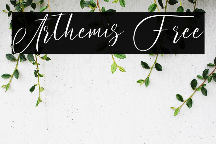 Arthemis Free Example 2