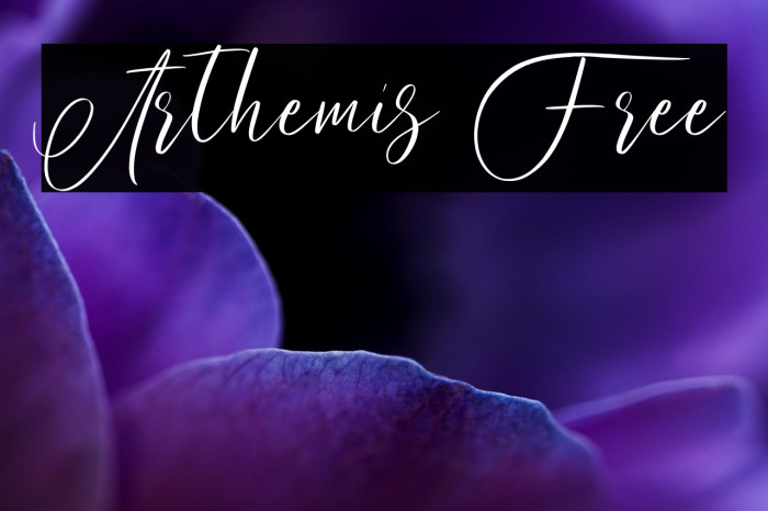 Arthemis Free Example 3