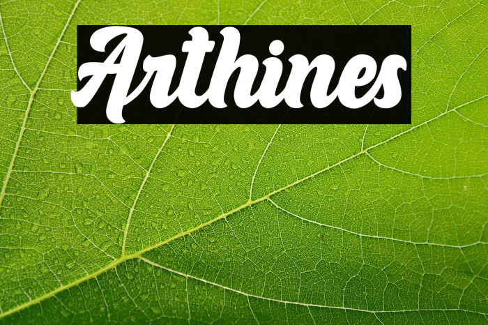 Arthines Example 1