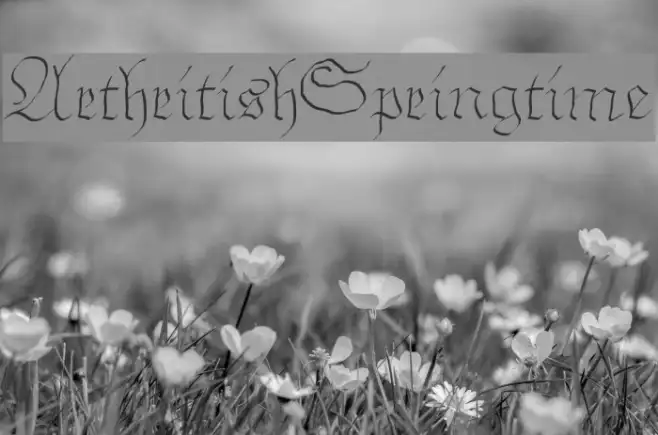 ArthritishSpringtime Example 3