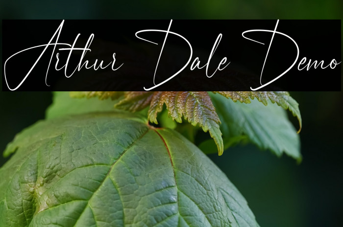 Arthur Dale Demo Example 1