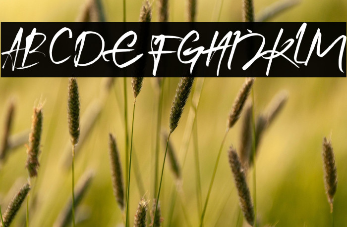 Arthur Keith Example 3