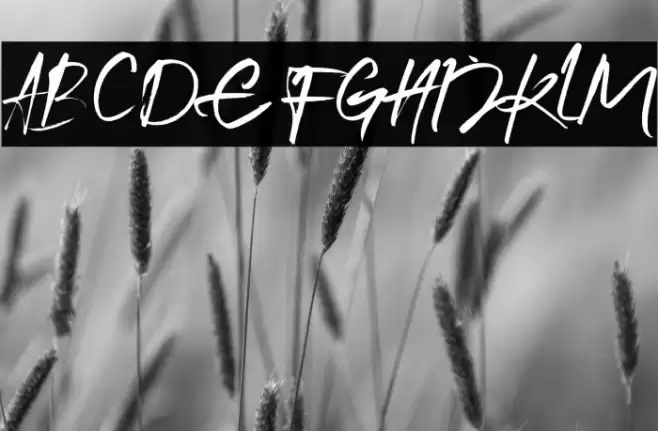 Arthur Keith Caratteri examples